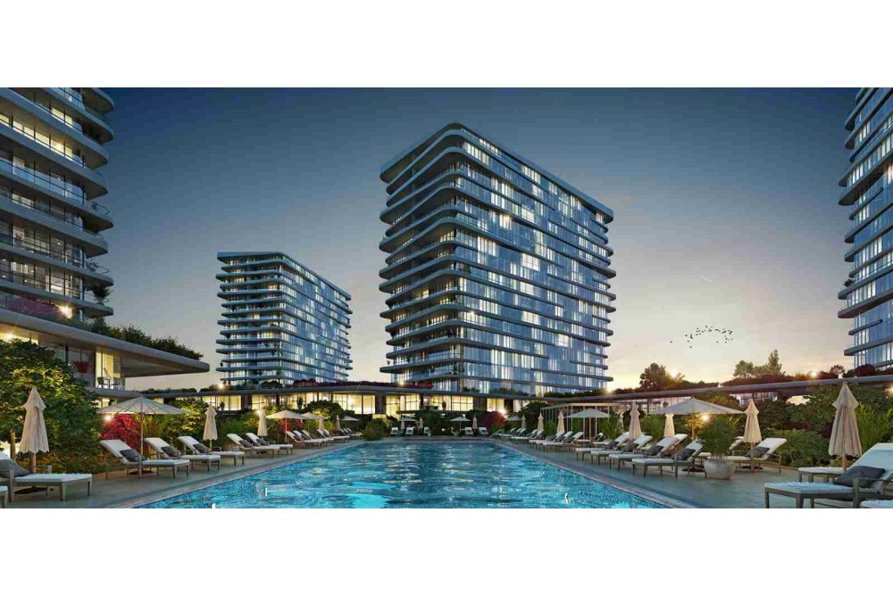 project_image_83959ba839d13cf1b531265ae4d55d37