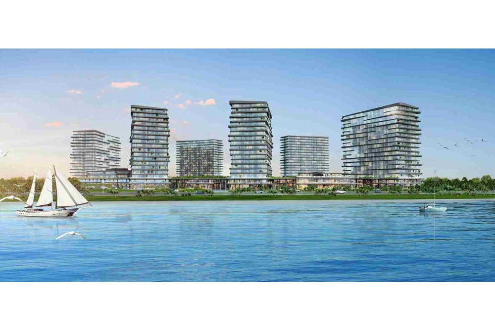 project_image_f94e874446cb7a6a7168a3970b19a245