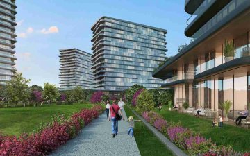 project_image_8b82fea72e83cceeb926ec4769440ca5